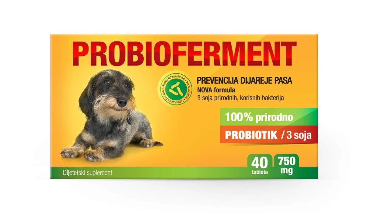 Vitamini i Dodaci Ishrani za Mačke