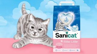 20345 SANICAT Kitten upijajući posip sa mačiće 5L