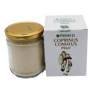 Coprinus Comatus prah 70g