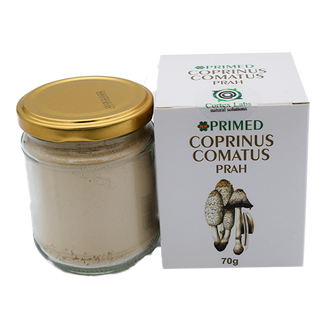 Coprinus Comatus prah 70g