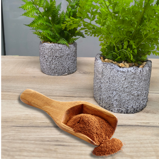 Poudre de cannelle, 100g