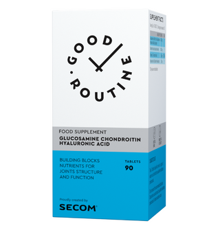 Glucosamine Chondroitin Hyaluronic Acid 90 comp