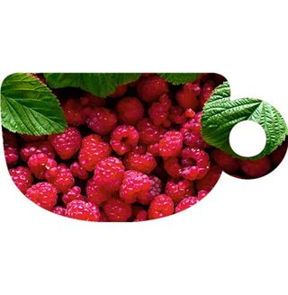 Garden Raspberry