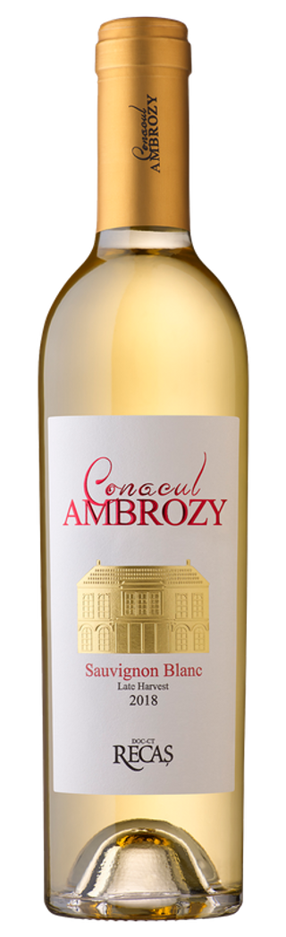 Conacul Ambrozy