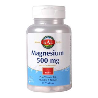 Secom Magnesium 500Mg 60 Capsule