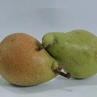 Kruška 1kg