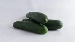 Krastavc Pinćir Bio 1kg