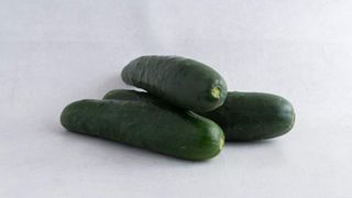 Krastavc Pinćir Bio 1kg