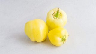 Paprika babura Žuta Pinćir Bio 1kg