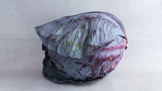 Ljubičasti kupus 1kg