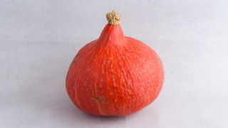 Mini bundeva Pinćir Bio 1kg