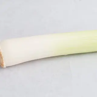 Praziluk Pinćir Bio 1 kom