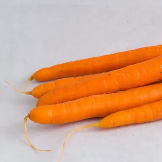 Šargarepa Pinćir Bio 1kg