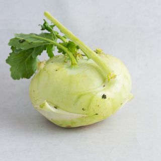 Keleraba Pinćir Bio 1kom