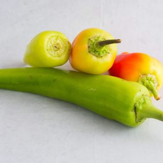 Paprika Roga Žuta  Bio 1kg