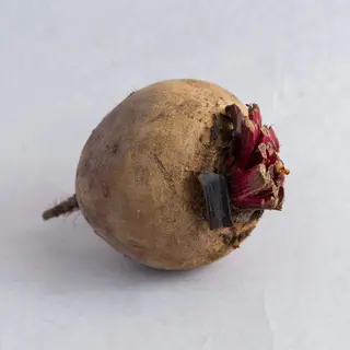 Cvekla 1kg