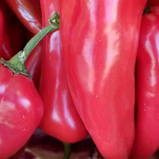 Roga crvena 1kg