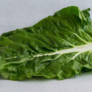 Blitva Pinćir Bio 1kom