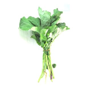 Fresh Kanzira; Bunch