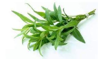 Fresh Tarragon