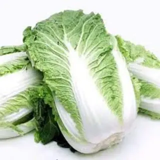 Fresh Chinese cabbage/Pc