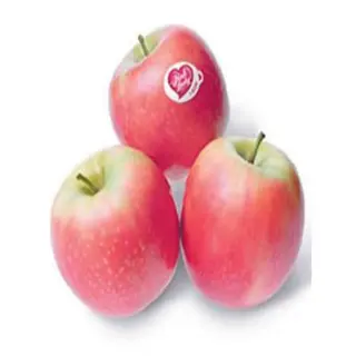 10pcs Fresh Pink Lady