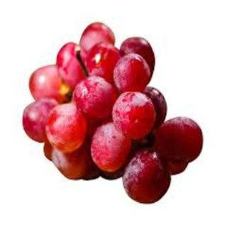 Fresh imported Red Grapes ;Punnet