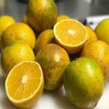 Fresh Local Oranges; 500gms