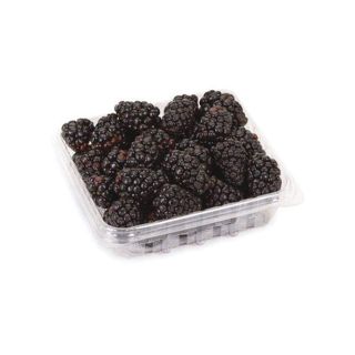 Fresh Black Berry; Punnet