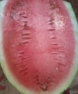 Freshly Cut Watermelon
