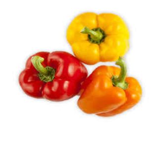 Fresh Coloured SweetPepper;500gms