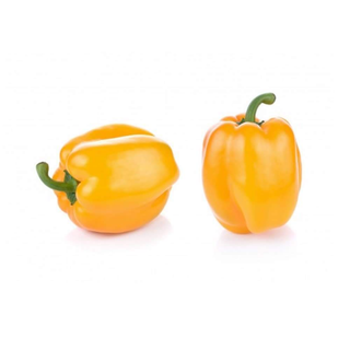 Fresh Yellow Sweet pepper; Pc