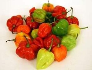 Fresh Scotch Bonnet/ Habanero/500gms