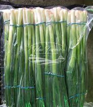 Fresh Spring onions / 250gms