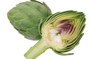 artichoke