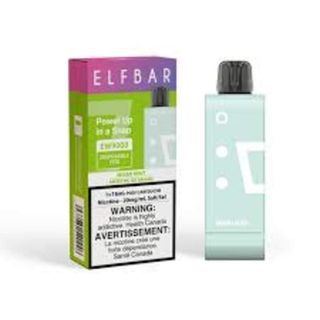 Elfbar 9000 Kit Miami Mint