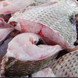 Tilapia Slices - On Bone 500g