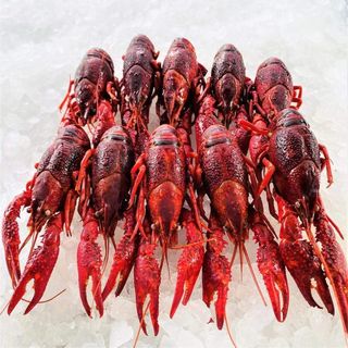 Crayfish Whole 500g