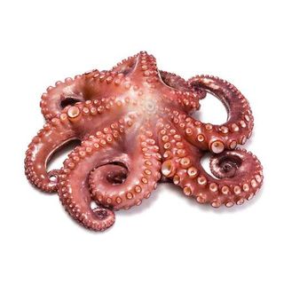 Octopus Whole 1Kg