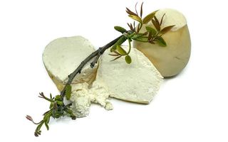 Burduf de Covurlui in membrana naturala