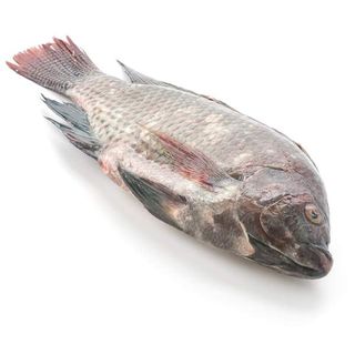 Tilapia Whole Fish 1kg