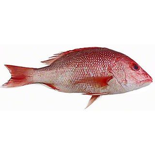 Red Snapper Whole
