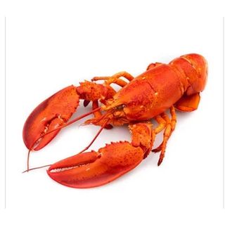 Lobsters Fresh- Grade B 250g-499g