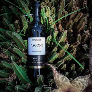 Asconi Sweet Moscato Wine, 750ml