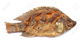 Fried Tilapia