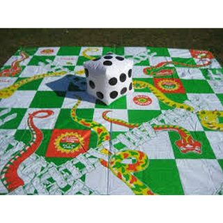 Giant Snakes and Ladders Game