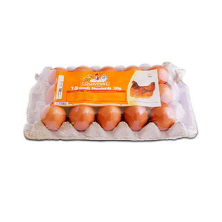 Oeufs Coqivoire 15 X 65G