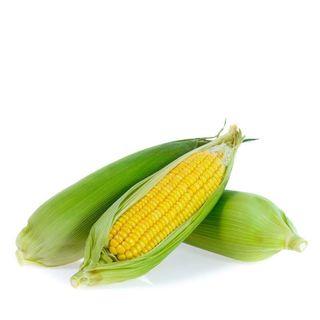 Sweet Corn Pack Of 3