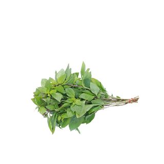 Basil per packet