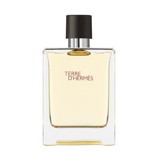 Hermes - Terre d'Hermes - Eau De Toilette Spray 3.3 oz - mens - EDT